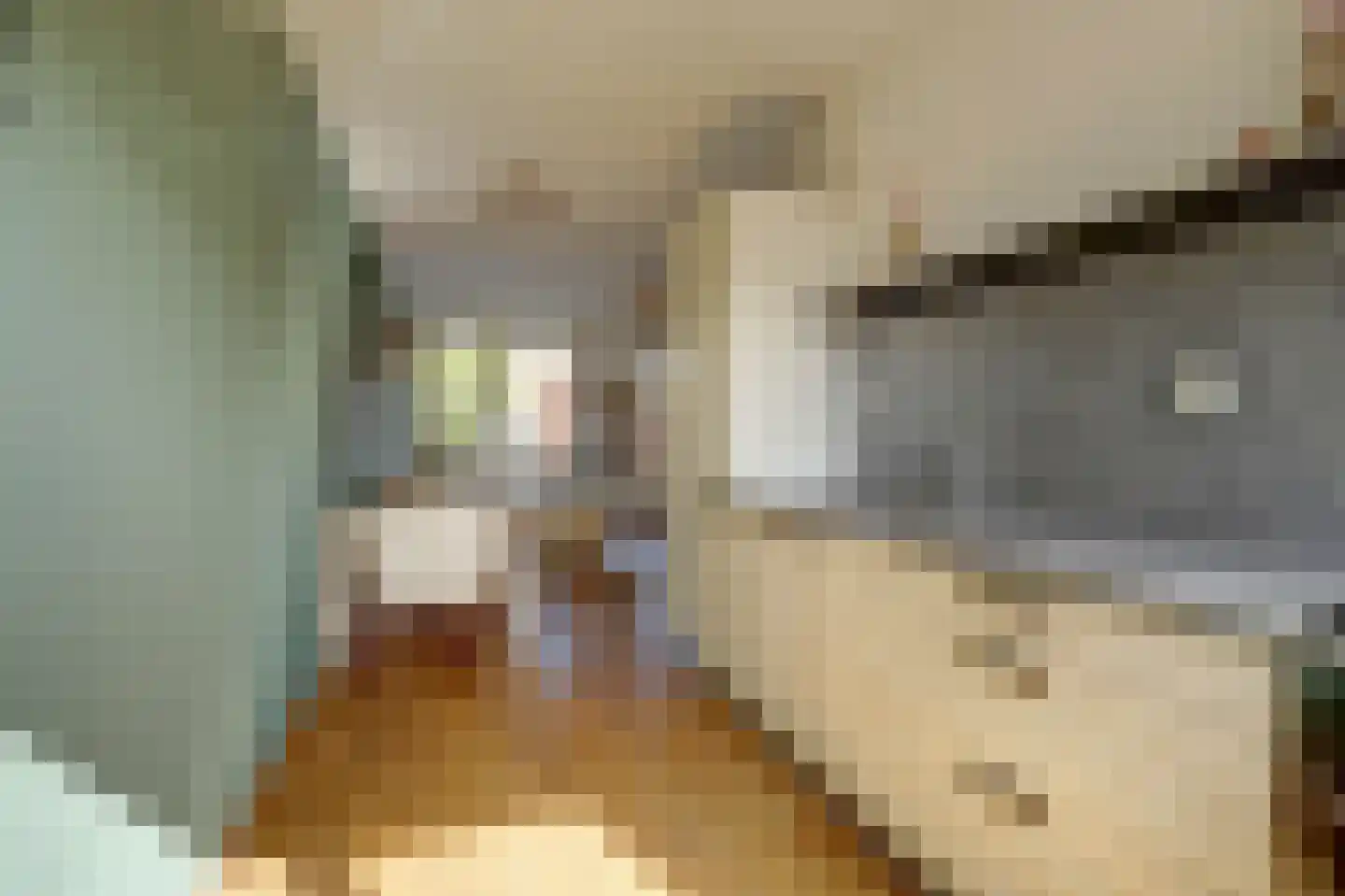 Burgstraat 21 a Giessen thumbnail 13