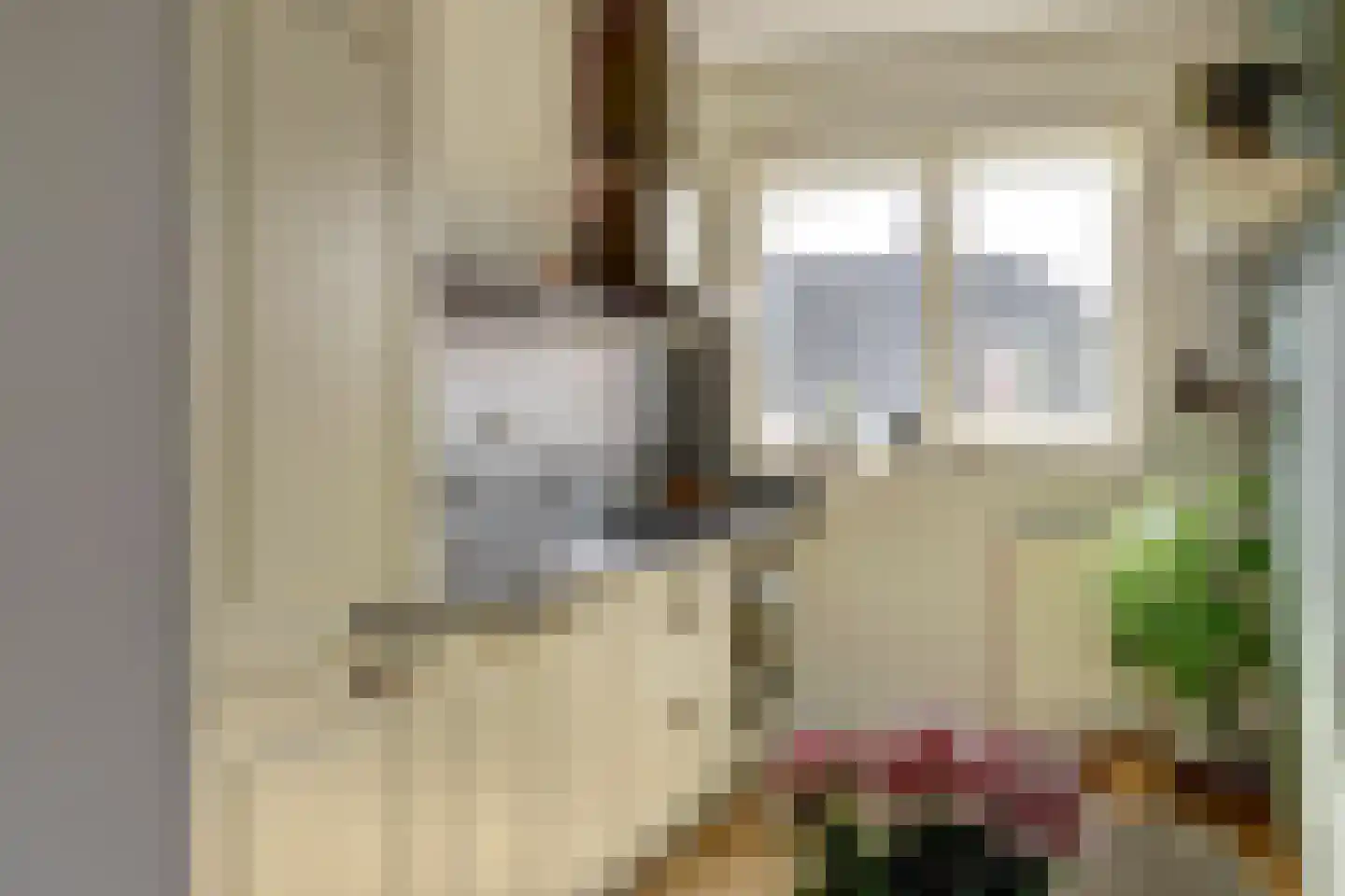 Burgstraat 21 a Giessen thumbnail 14