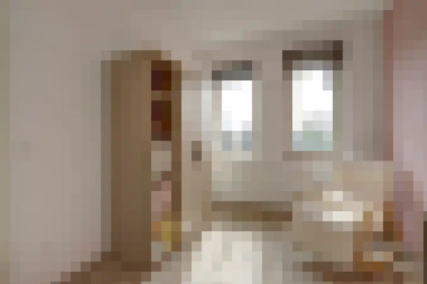 Burgstraat 21 a Giessen thumbnail 24