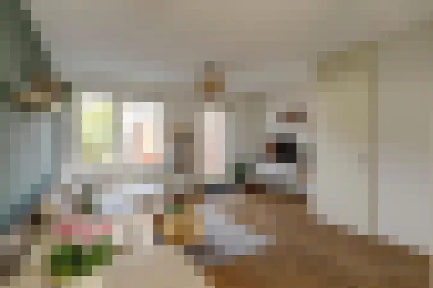 Burgstraat 21 a Giessen thumbnail 8