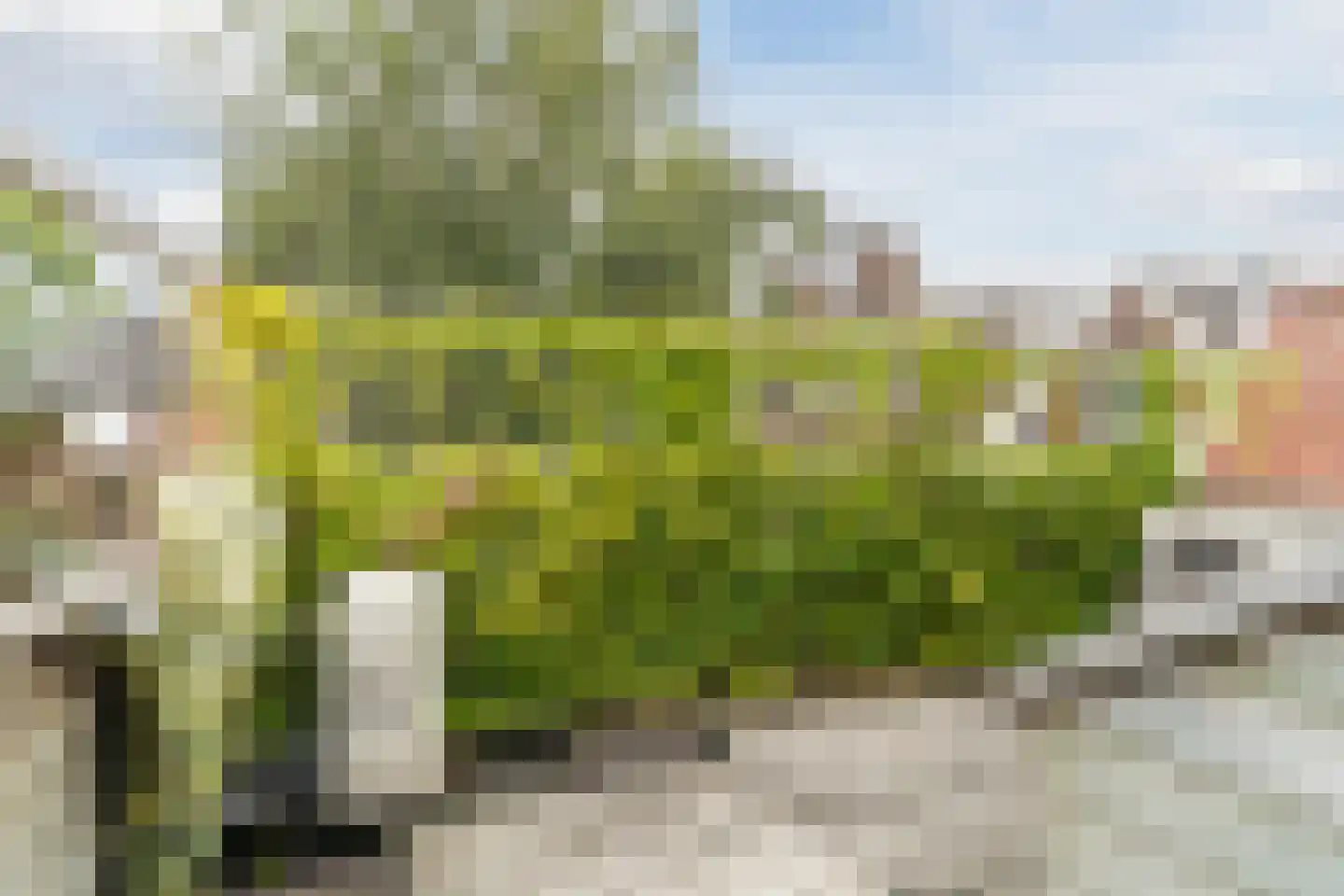 Burgstraat 25 Gorinchem thumbnail 6