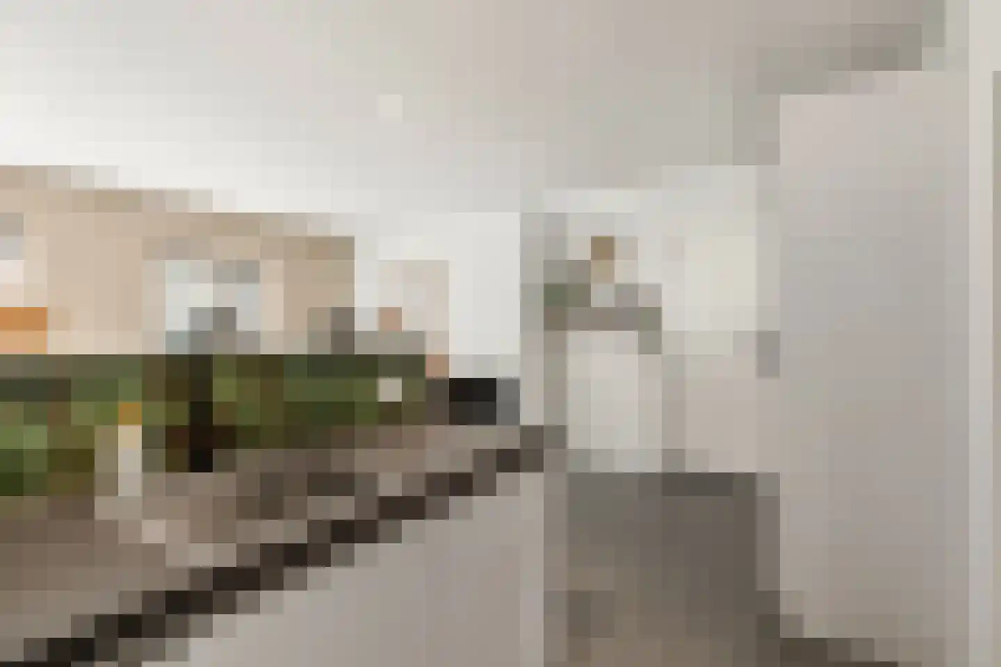 Burgstraat 40 Gorinchem thumbnail 15