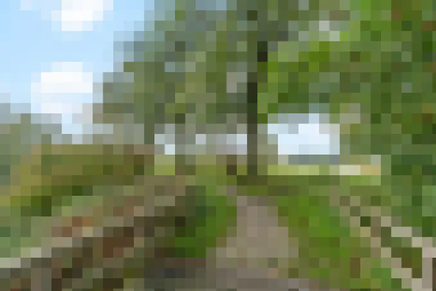 Burgstraat 40 Gorinchem thumbnail 35