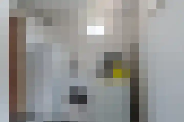 Burgstraat 52 Giessen thumbnail 20