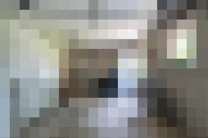 Burgstraat 52 Giessen thumbnail 22