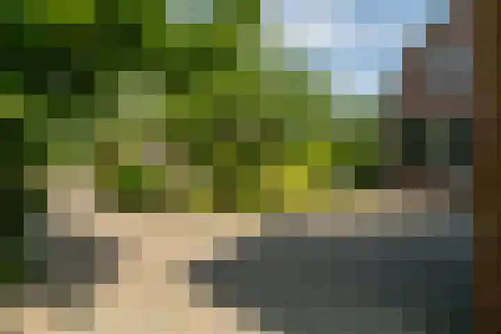 Burgstraat 52 Giessen thumbnail 30