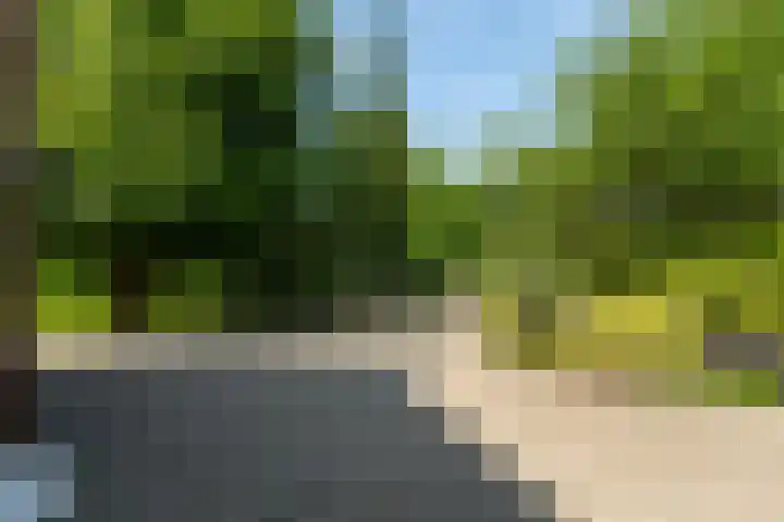 Burgstraat 52 Giessen thumbnail 31