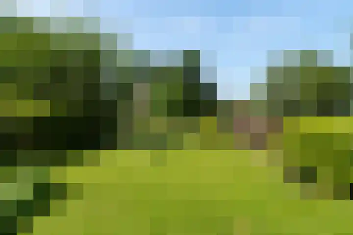 Burgstraat 52 Giessen thumbnail 33