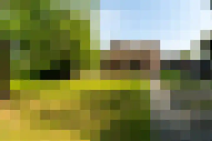 Burgstraat 52 Giessen thumbnail 34