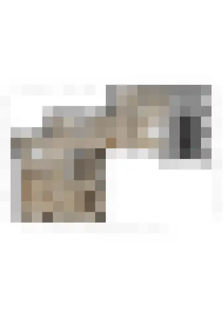 Burgstraat 52 Giessen thumbnail 36