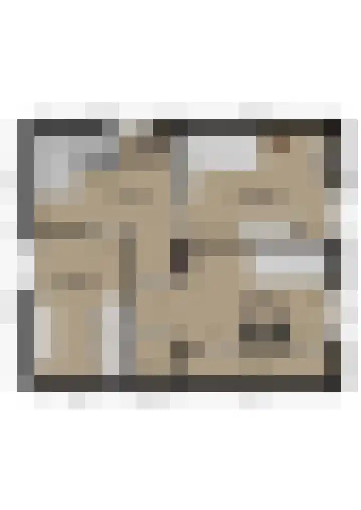 Burgstraat 52 Giessen thumbnail 38
