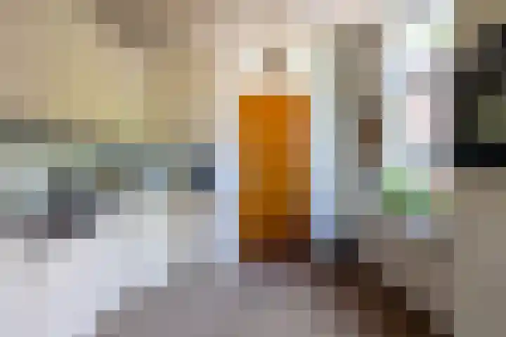 Burgstraat 52 Giessen thumbnail 6