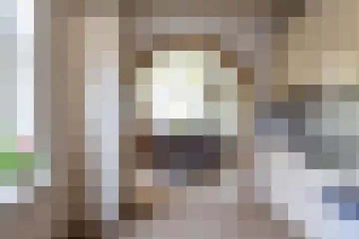 Burgstraat 52 Giessen thumbnail 7