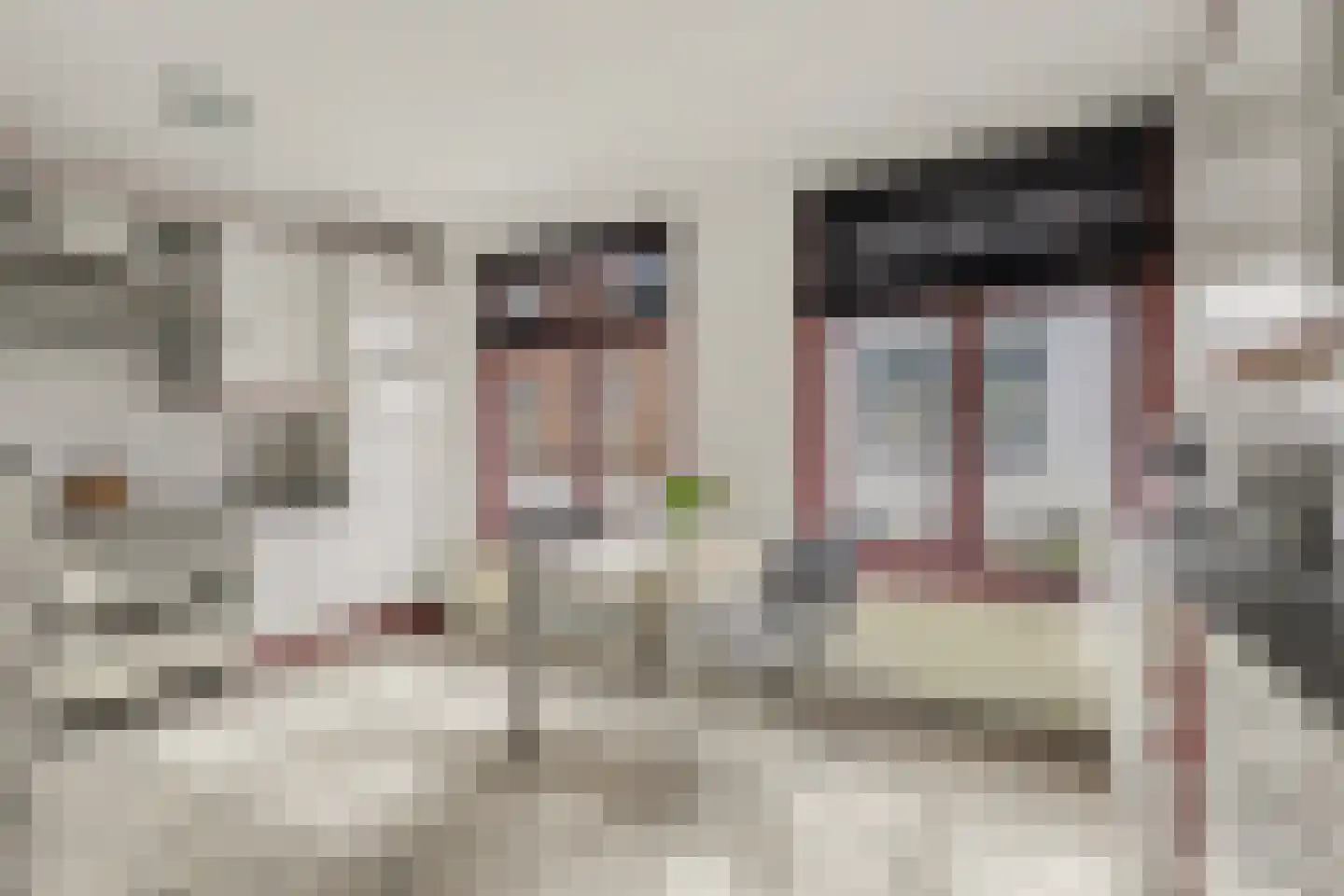 Burgstraat 53 Gorinchem thumbnail 22