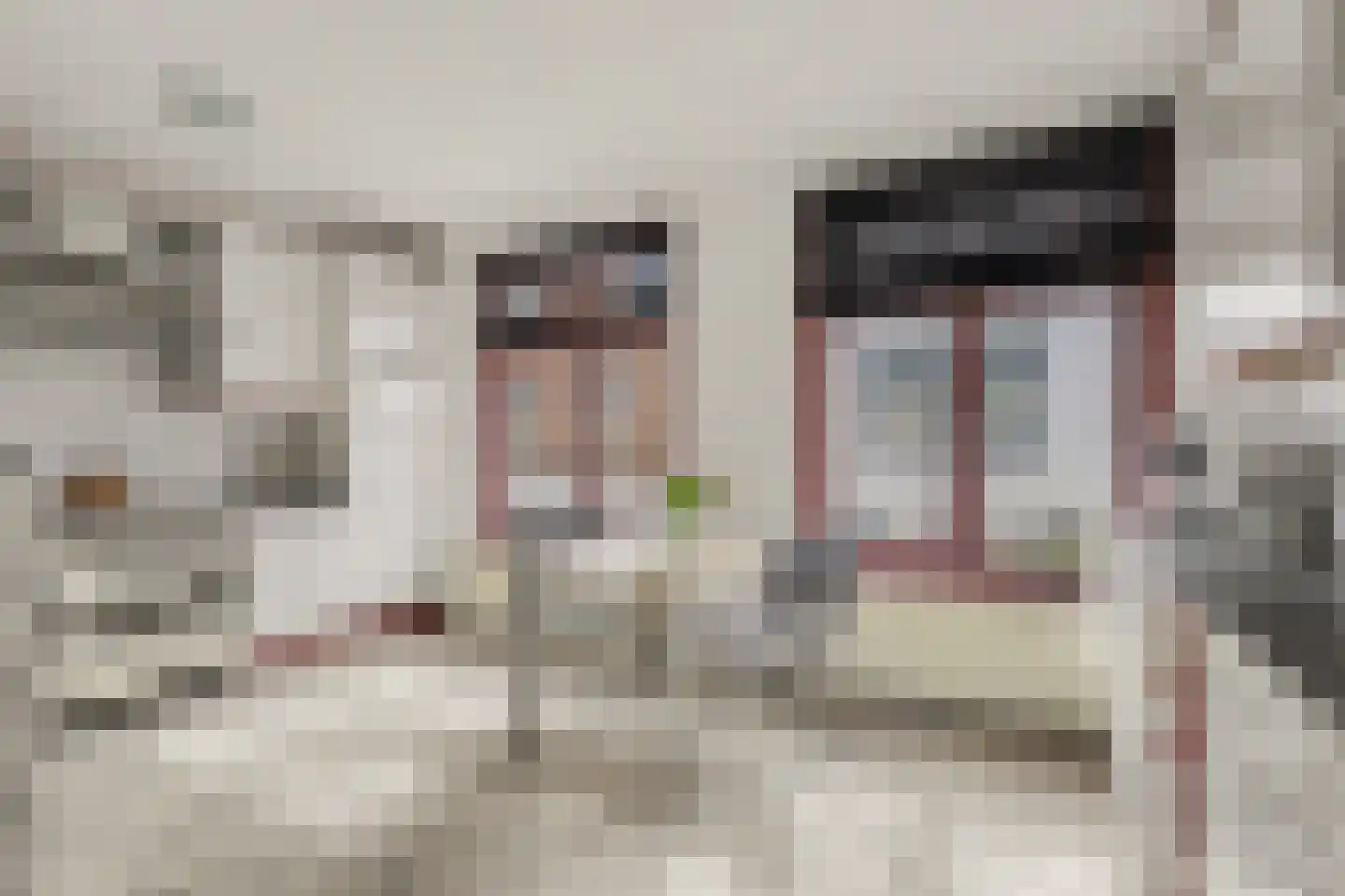 Burgstraat 53 Gorinchem thumbnail 23