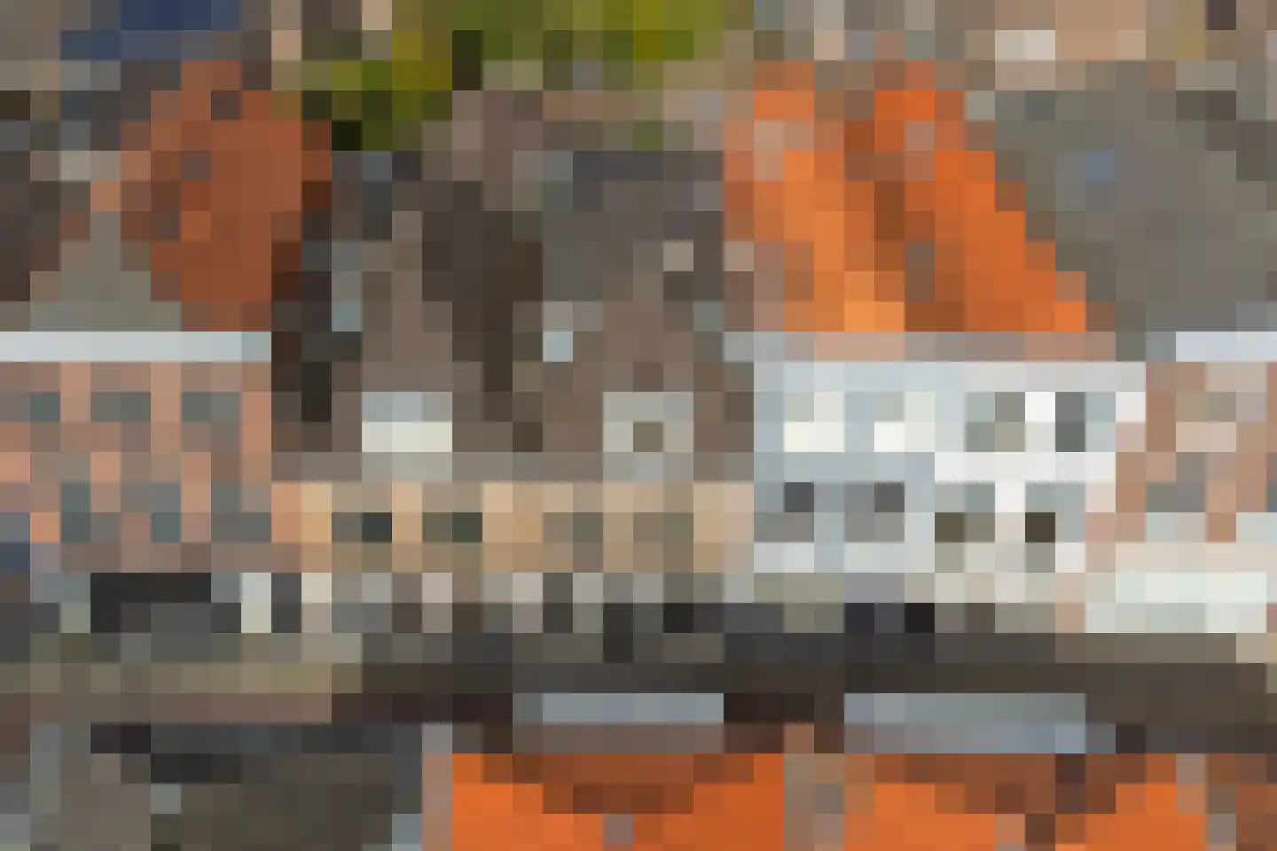 Burgstraat 53 Gorinchem thumbnail 4