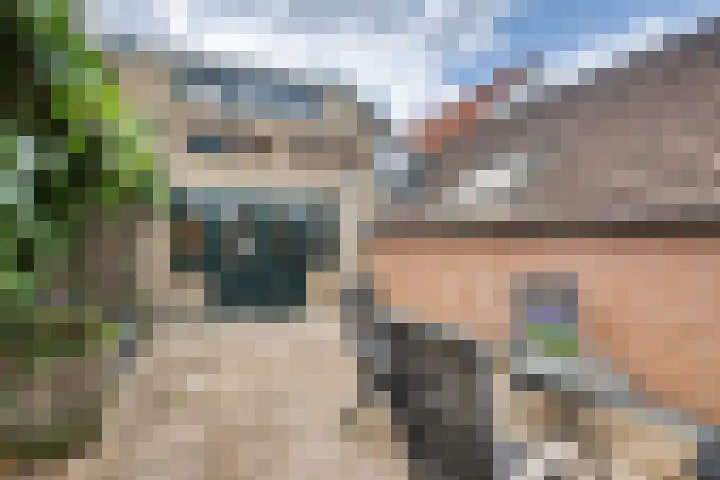 Burgstraat 53 Gorinchem thumbnail 50