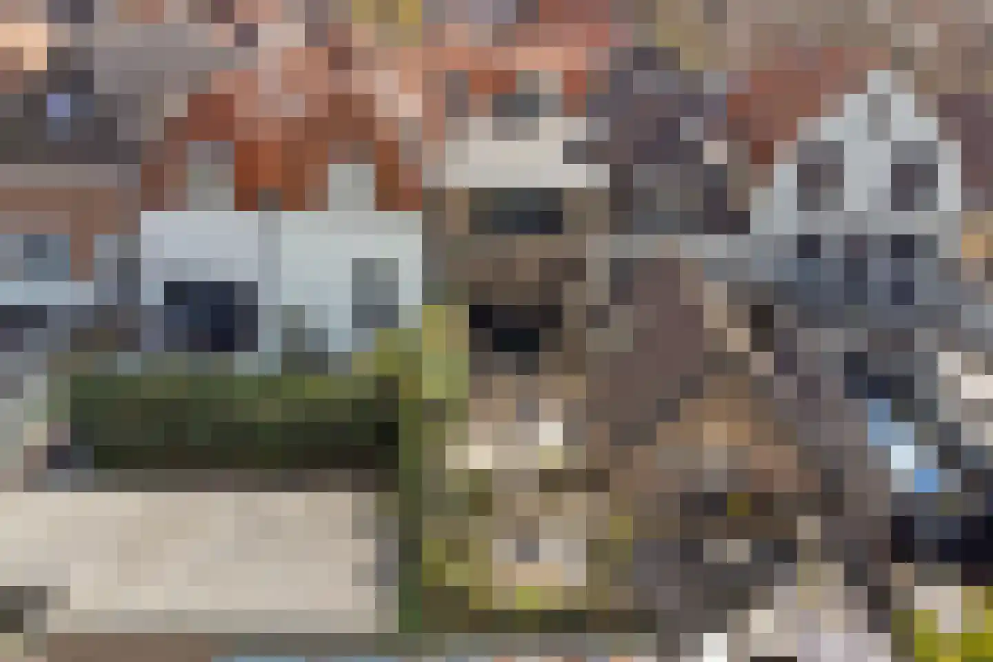 Burgstraat 53 Gorinchem thumbnail 52