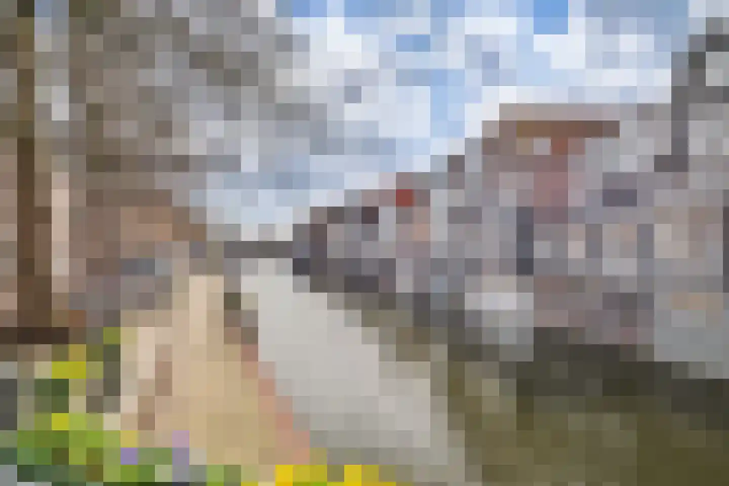 Burgstraat 53 Gorinchem thumbnail 6