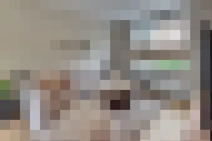 Burgtstraat 4 Harderwijk thumbnail 15