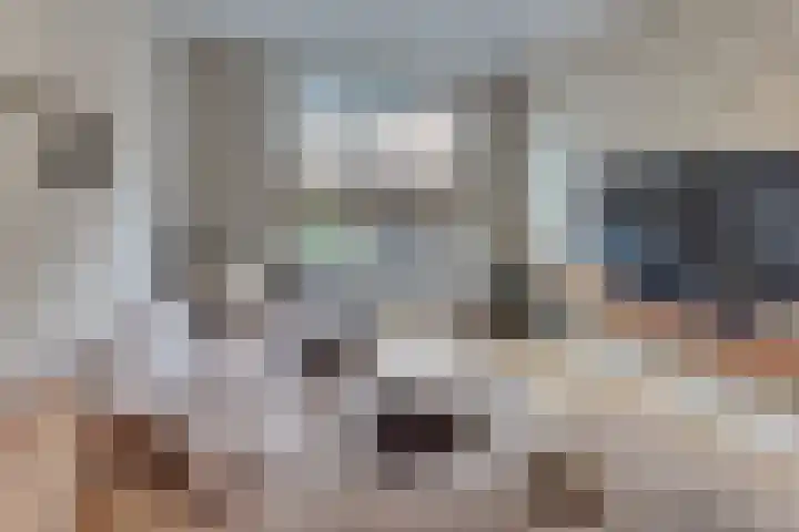 Burgtstraat 4 Harderwijk thumbnail 16