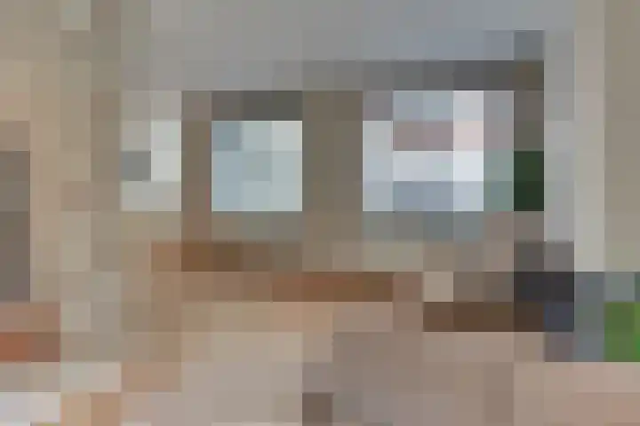 Burgtstraat 4 Harderwijk thumbnail 18
