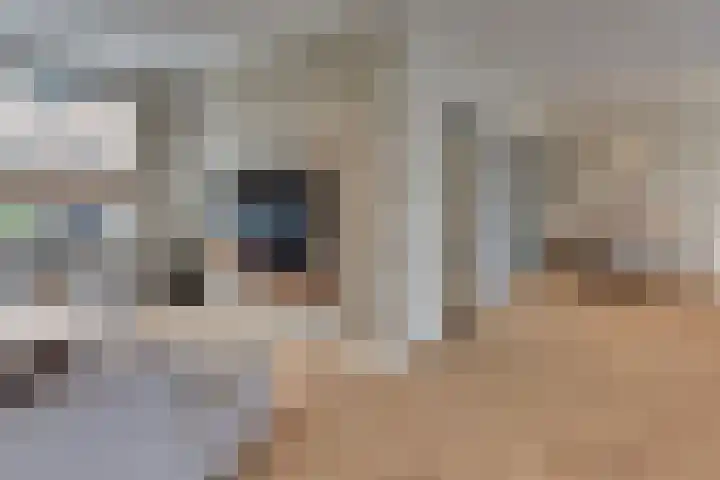 Burgtstraat 4 Harderwijk thumbnail 20