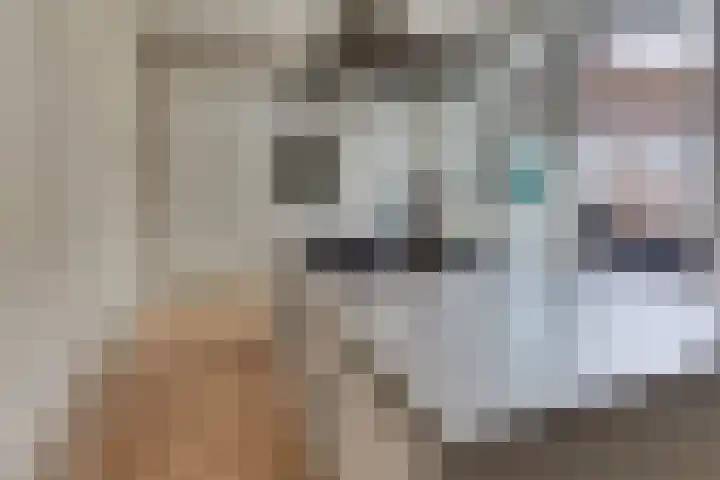 Burgtstraat 4 Harderwijk thumbnail 23