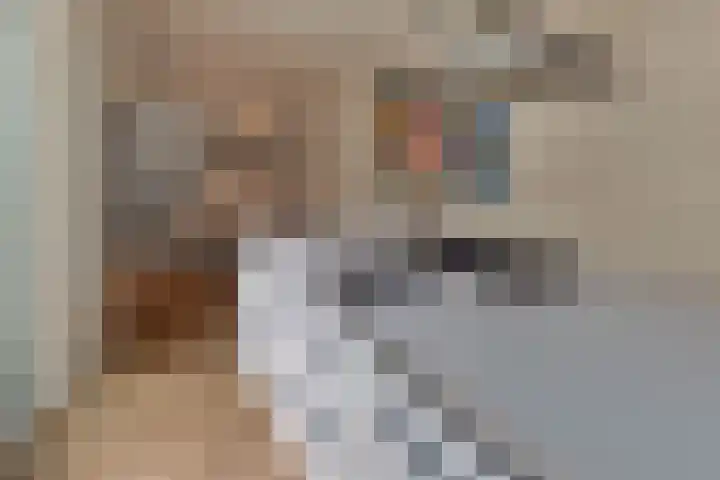 Burgtstraat 4 Harderwijk thumbnail 26