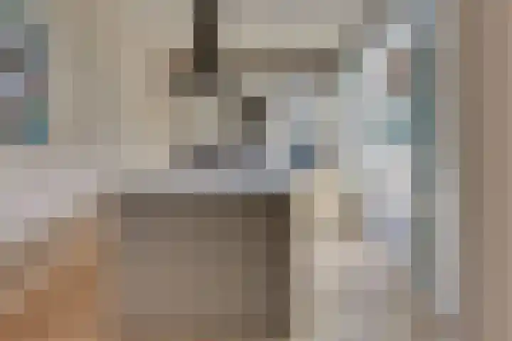 Burgtstraat 4 Harderwijk thumbnail 28