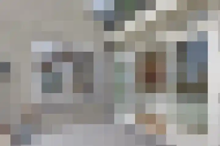 Burgtstraat 4 Harderwijk thumbnail 36