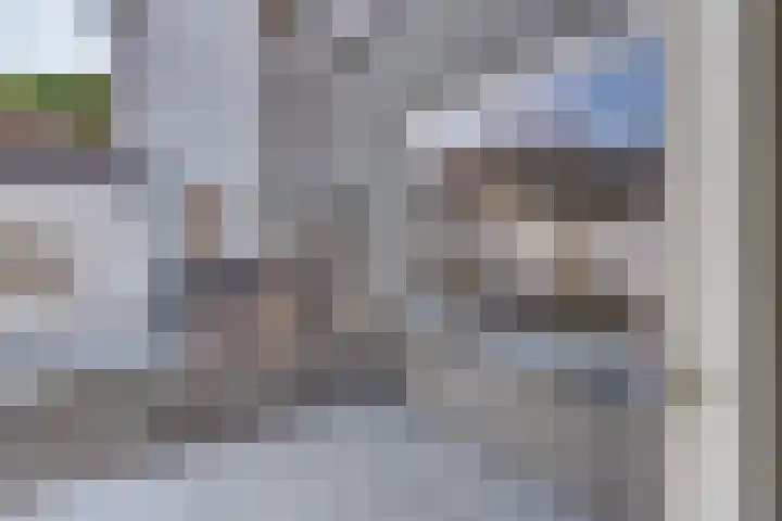 Burgtstraat 4 Harderwijk thumbnail 37