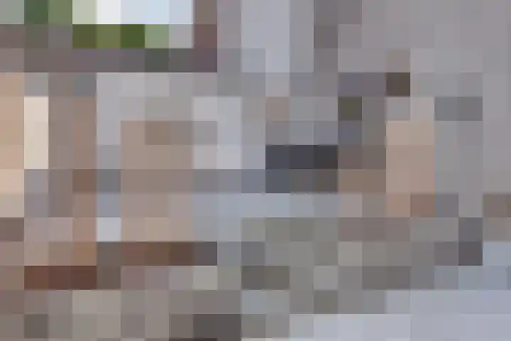 Burgtstraat 4 Harderwijk thumbnail 4