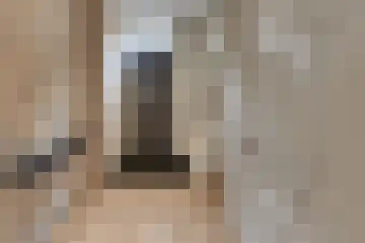 Burgtstraat 4 Harderwijk thumbnail 40