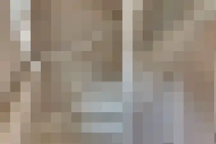 Burgtstraat 4 Harderwijk thumbnail 41