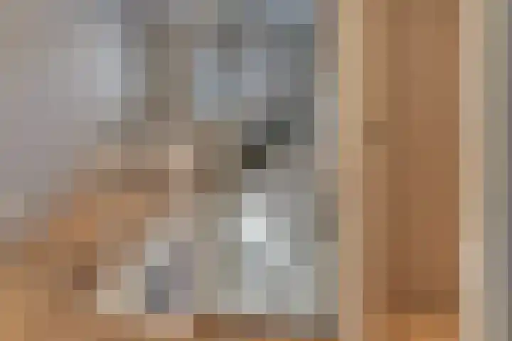 Burgtstraat 4 Harderwijk thumbnail 42