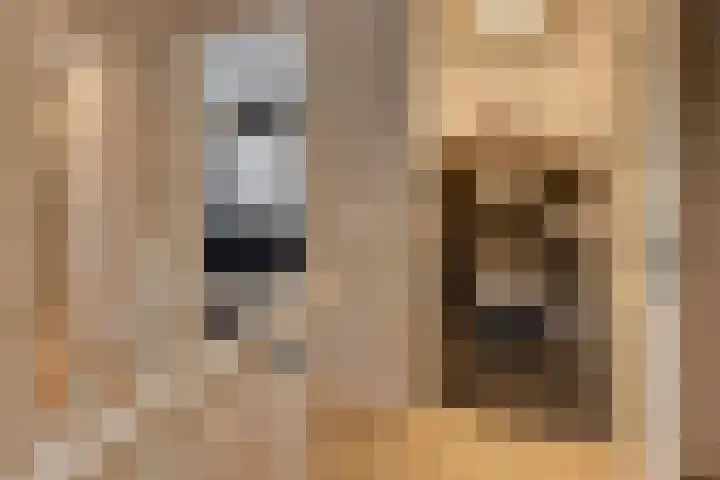 Burgtstraat 4 Harderwijk thumbnail 43