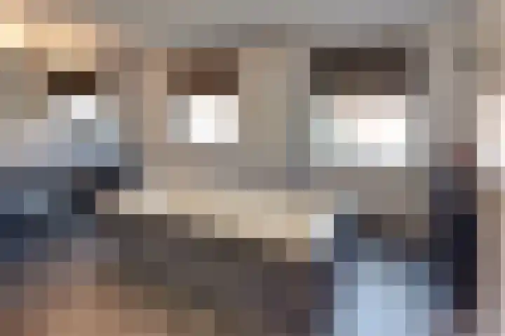 Burgtstraat 4 Harderwijk thumbnail 44