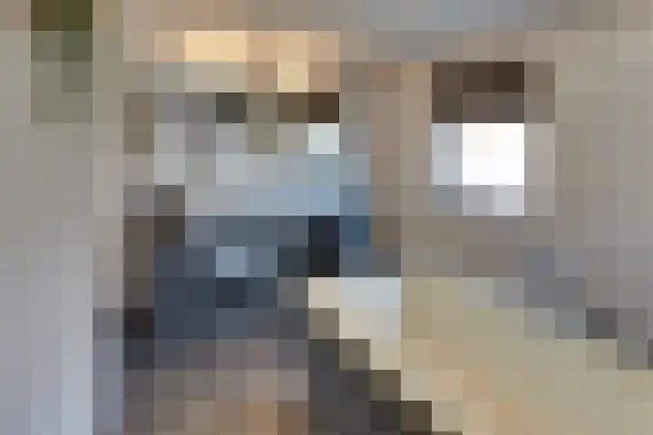 Burgtstraat 4 Harderwijk thumbnail 45