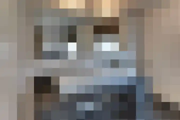 Burgtstraat 4 Harderwijk thumbnail 46