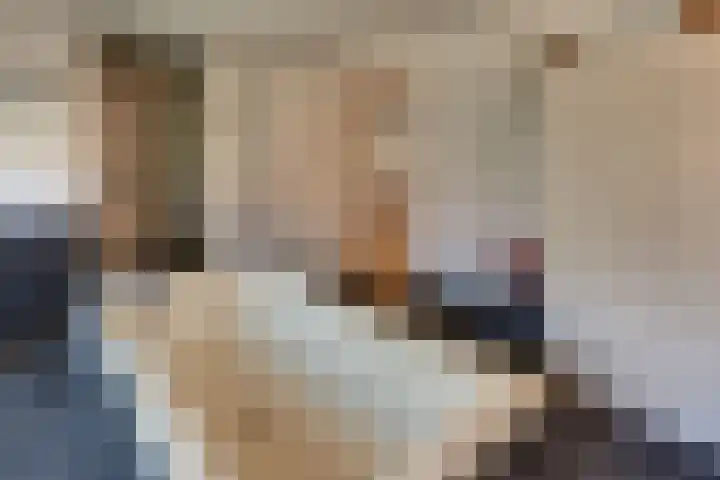 Burgtstraat 4 Harderwijk thumbnail 50