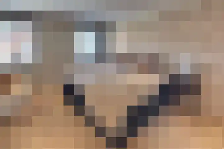 Burgtstraat 4 Harderwijk thumbnail 56