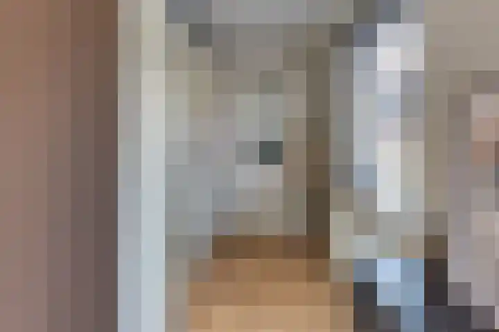 Burgtstraat 4 Harderwijk thumbnail 60