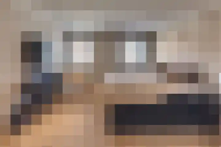 Burgtstraat 4 Harderwijk thumbnail 62