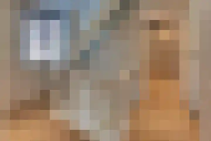 Burgtstraat 4 Harderwijk thumbnail 63