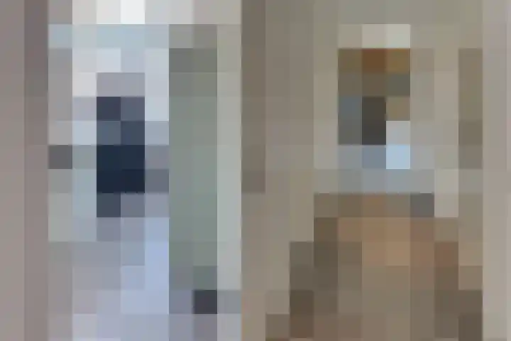 Burgtstraat 4 Harderwijk thumbnail 67
