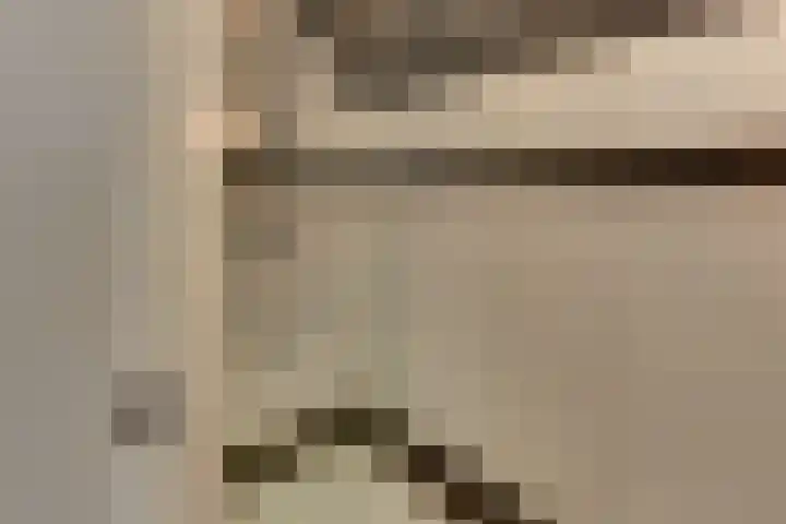 Burgtstraat 4 Harderwijk thumbnail 69