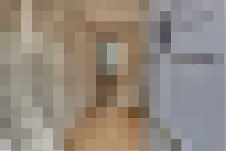 Burgtstraat 4 Harderwijk thumbnail 8