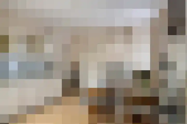 Burgtstraat 49 Boekel thumbnail 15