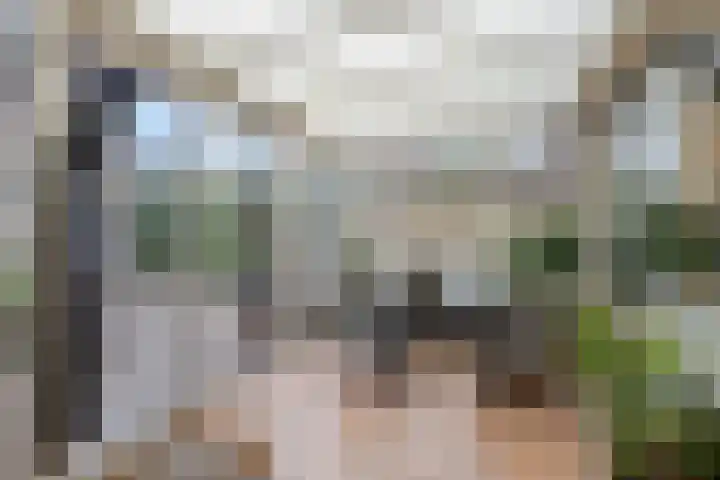 Burgtstraat 49 Boekel thumbnail 21